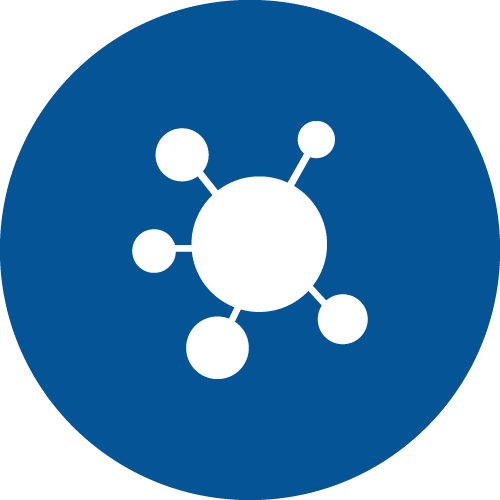 Alt Image